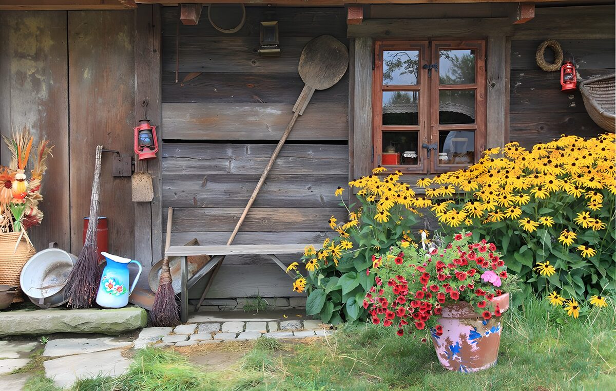 TPFR43553: Charme rustique d'une maison en bois