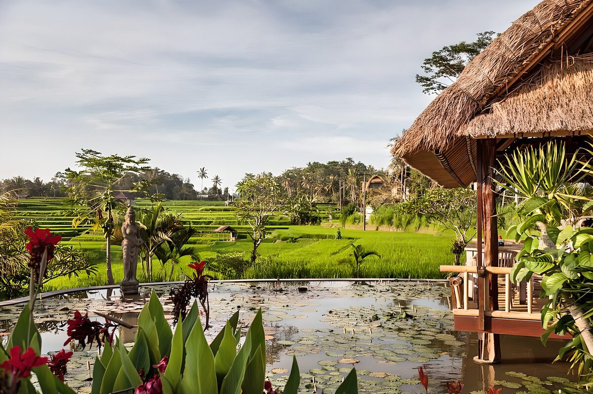TPFR30779: Paysage paisible des rizières à Bali