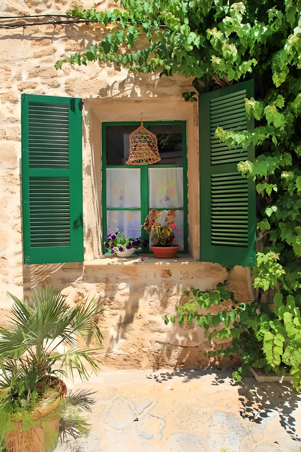 TPFR27831: Fenêtre ensoleillée d'un village méditerranéen