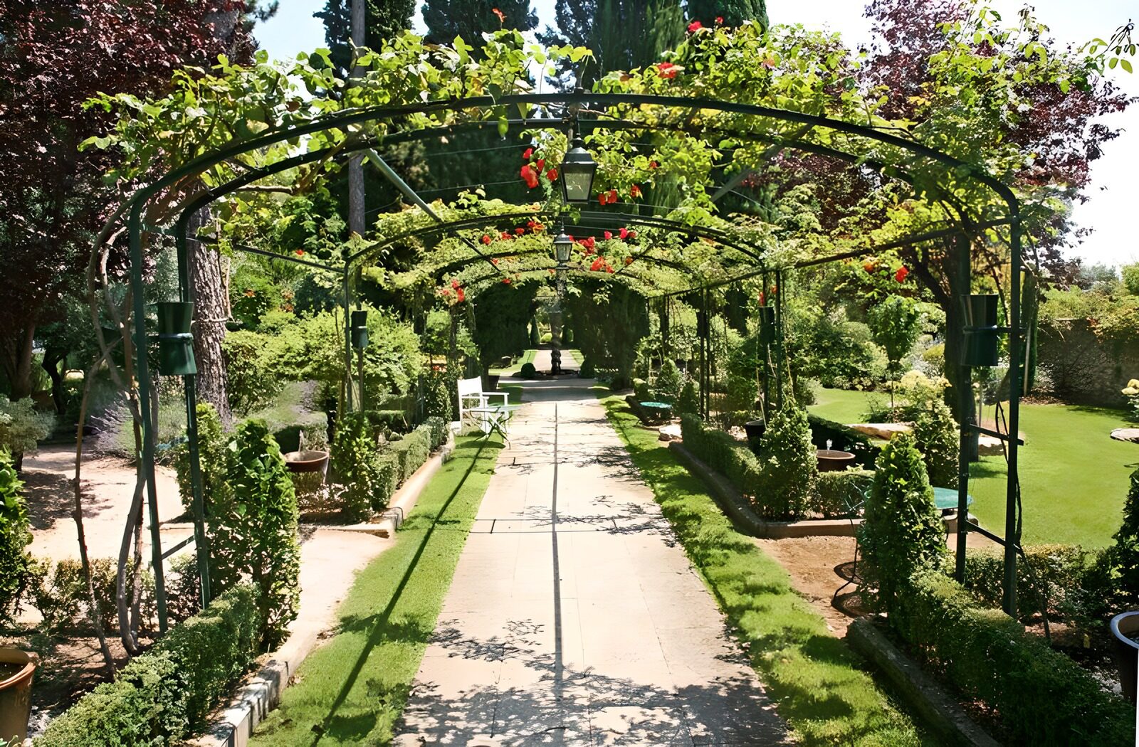 TPFR87024: Vue sur un jardin à la française à travers des arches garnies de roses version 3