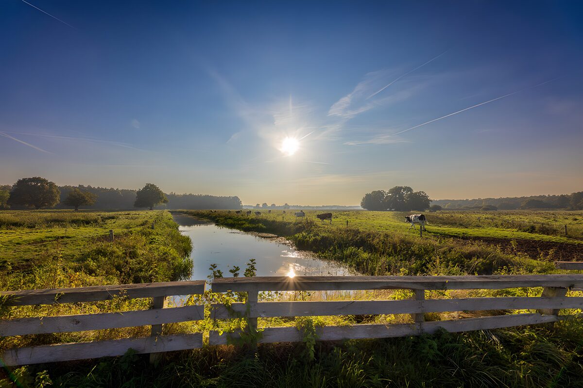 Paysage rural au lever du soleil