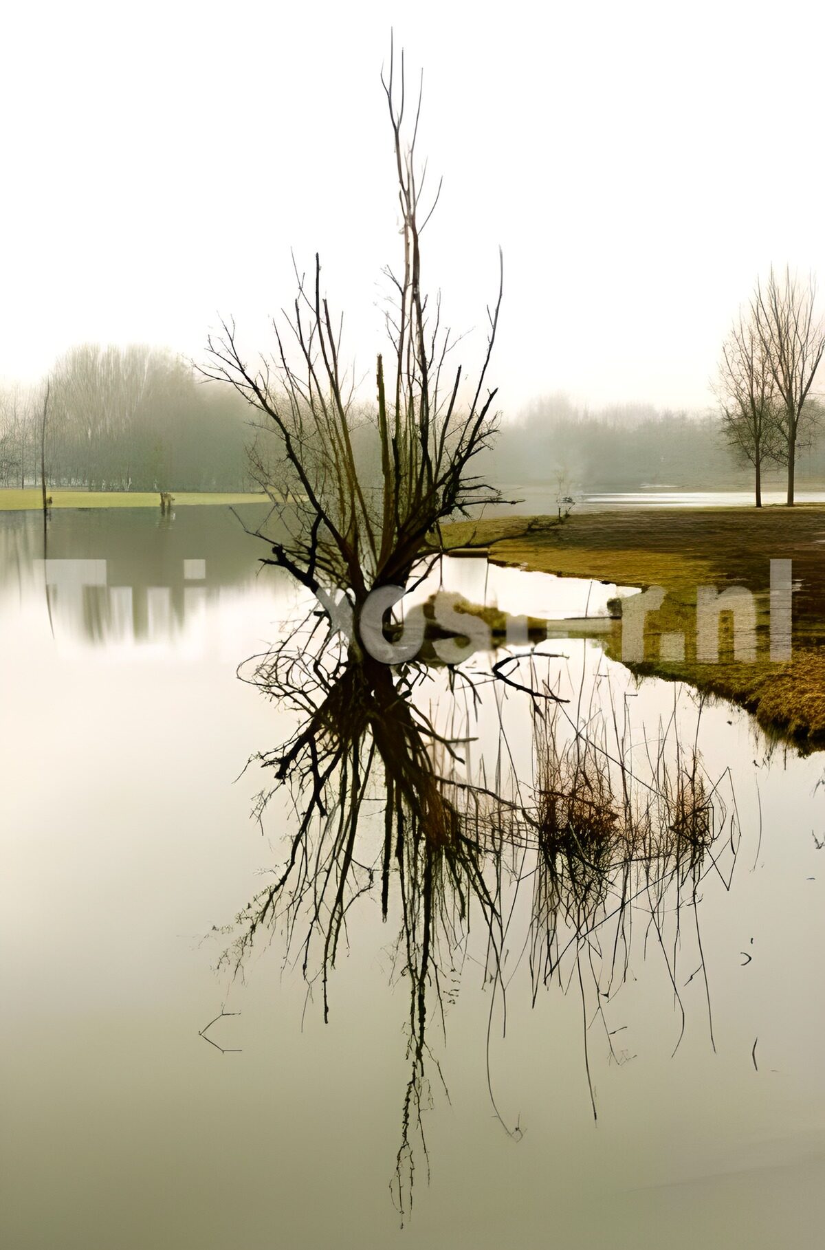 Bois et parcs 2