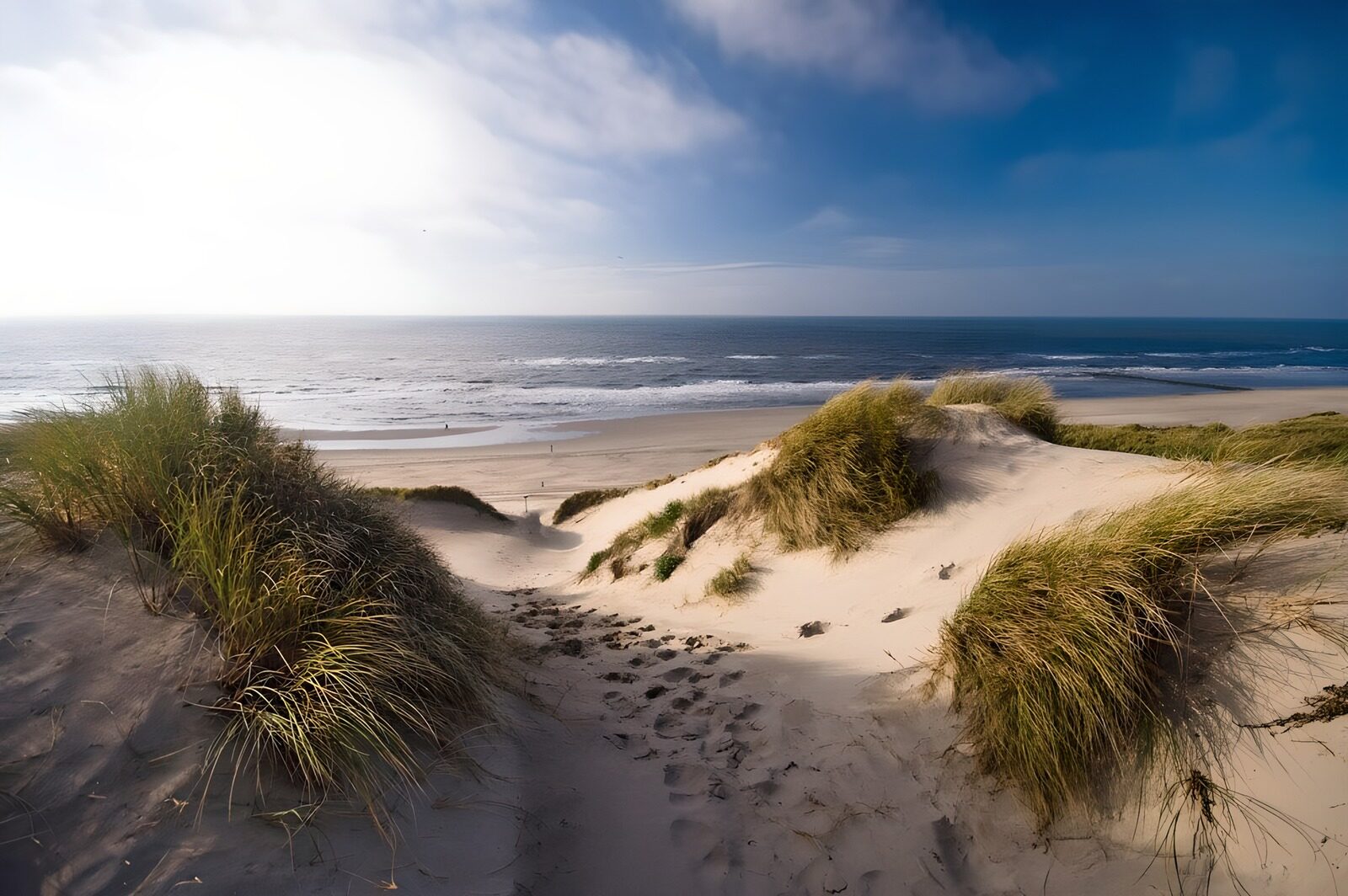 TPFR11695: Plage tranquille et dunes dorées