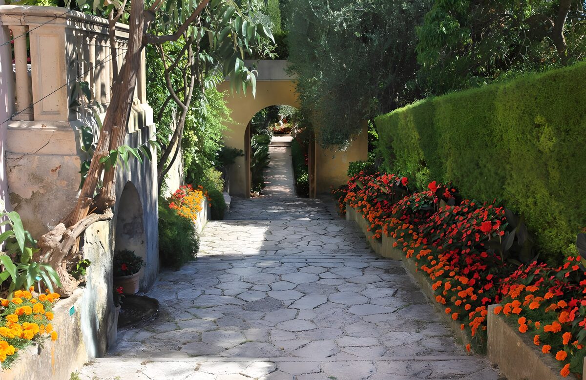 TPFR72751: Chemin fleuri sous le soleil