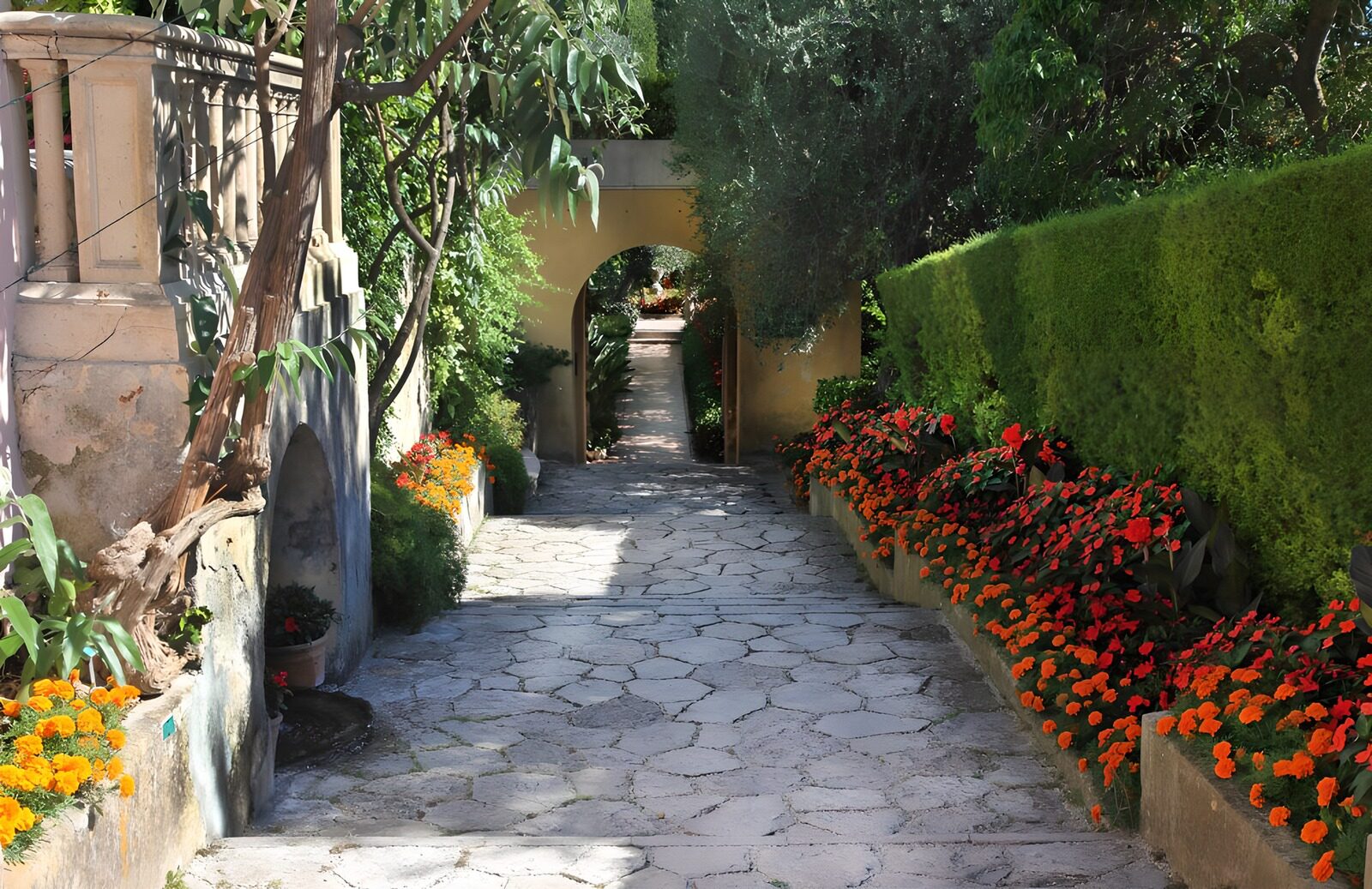 TPFR72751: Chemin fleuri sous le soleil