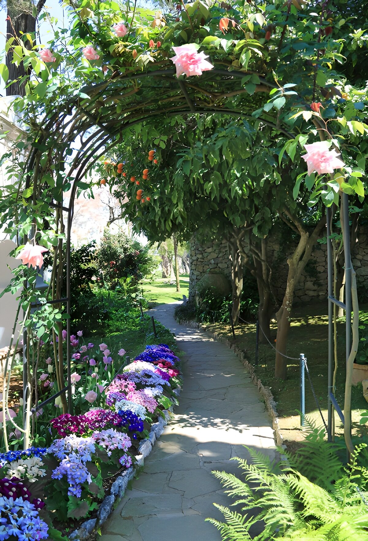 TPFR69459: Chemin fleuri sous un arc verdoyant