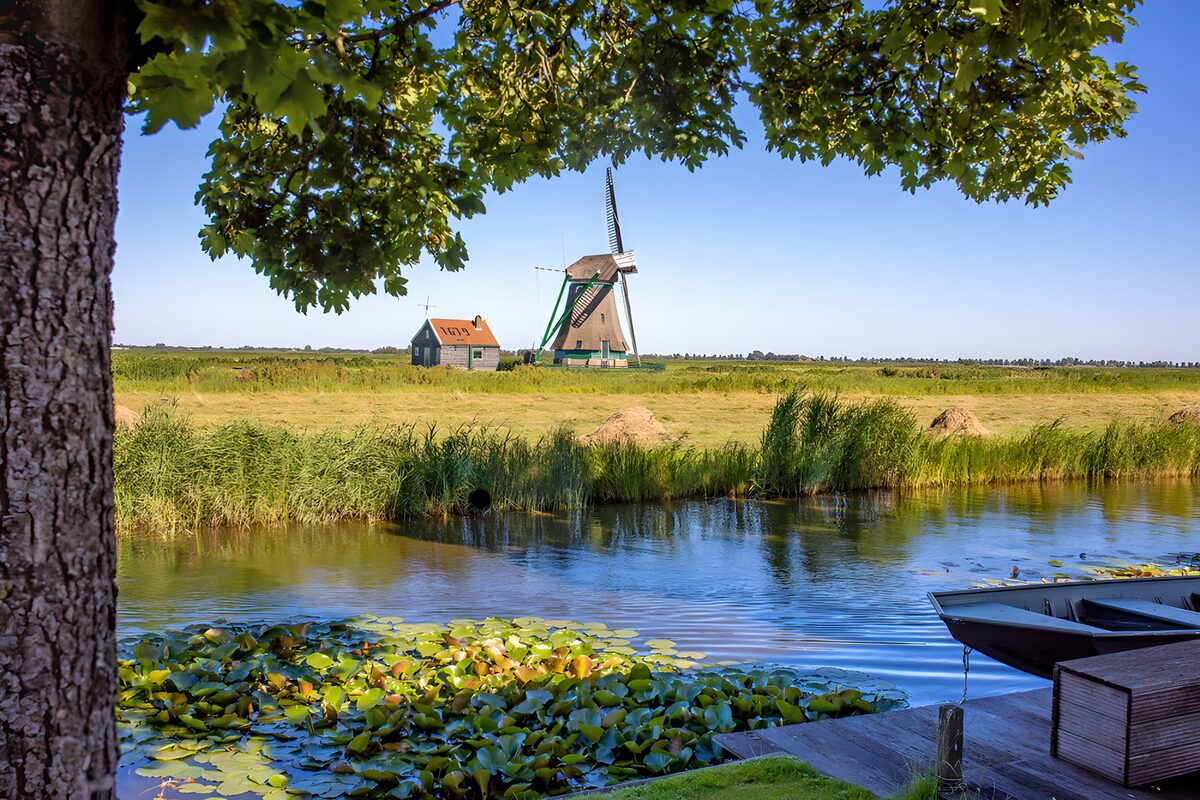 Moulins et paysages paisibles des Pays-Bas