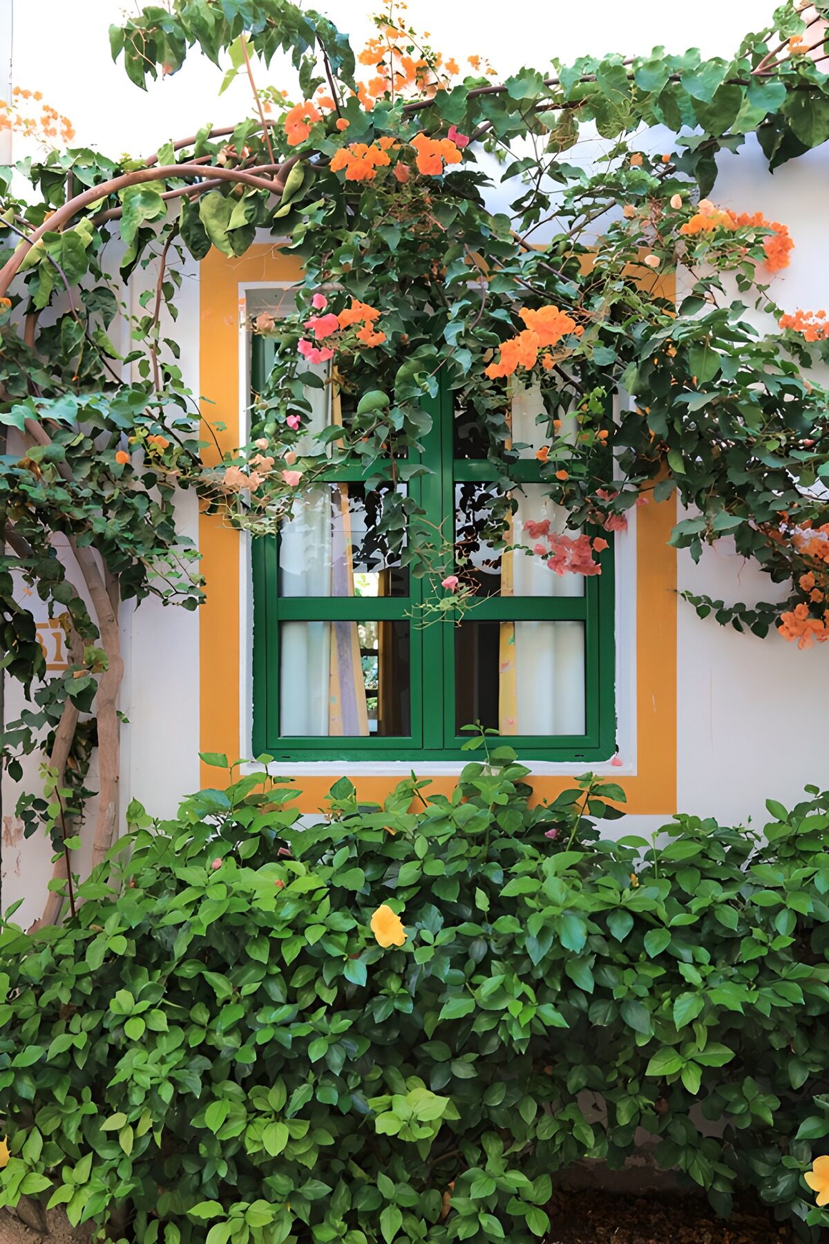 Fenêtre fleurie d'une maison charmante