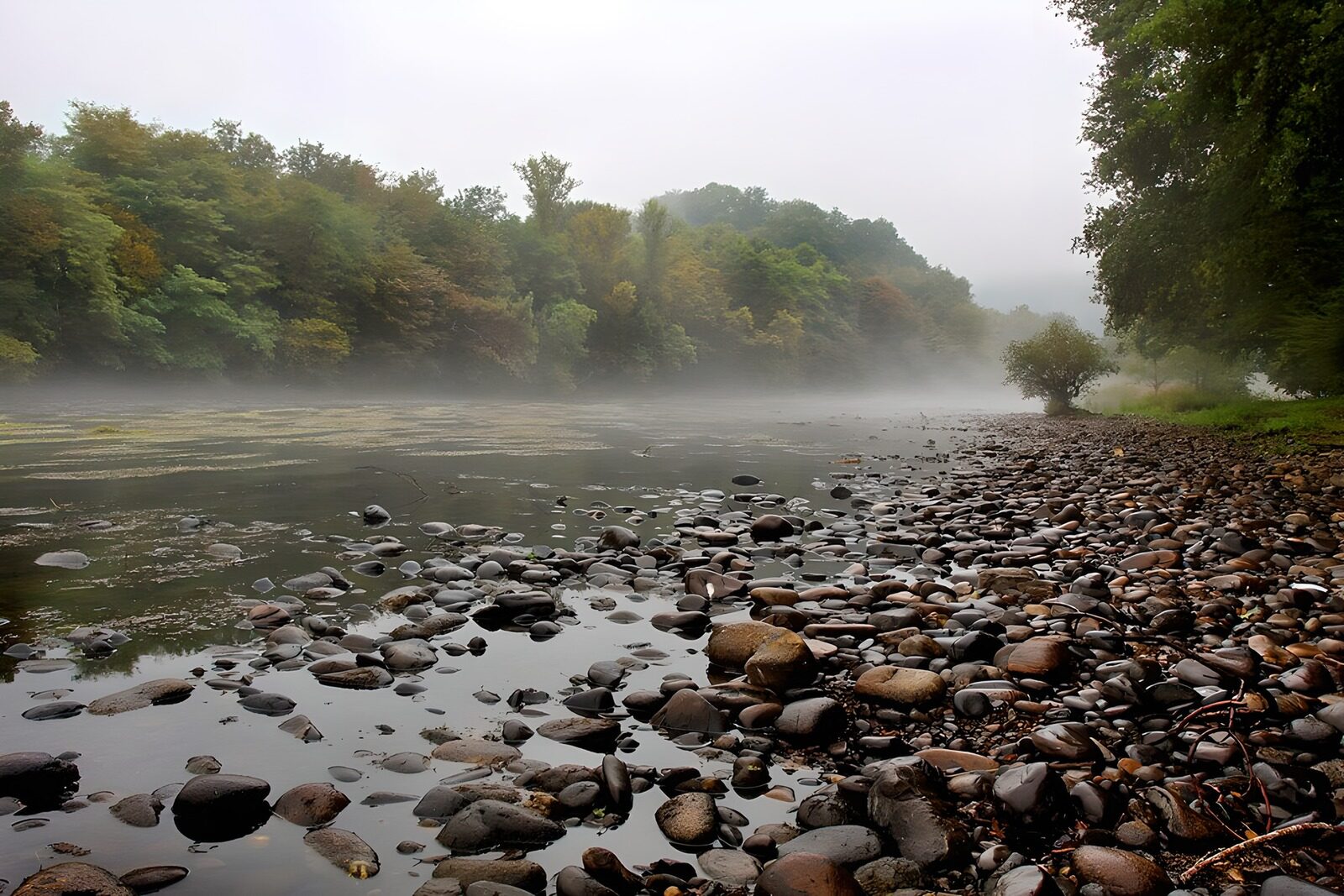 TPFR77462: Rivière brumeuse au lever du jour