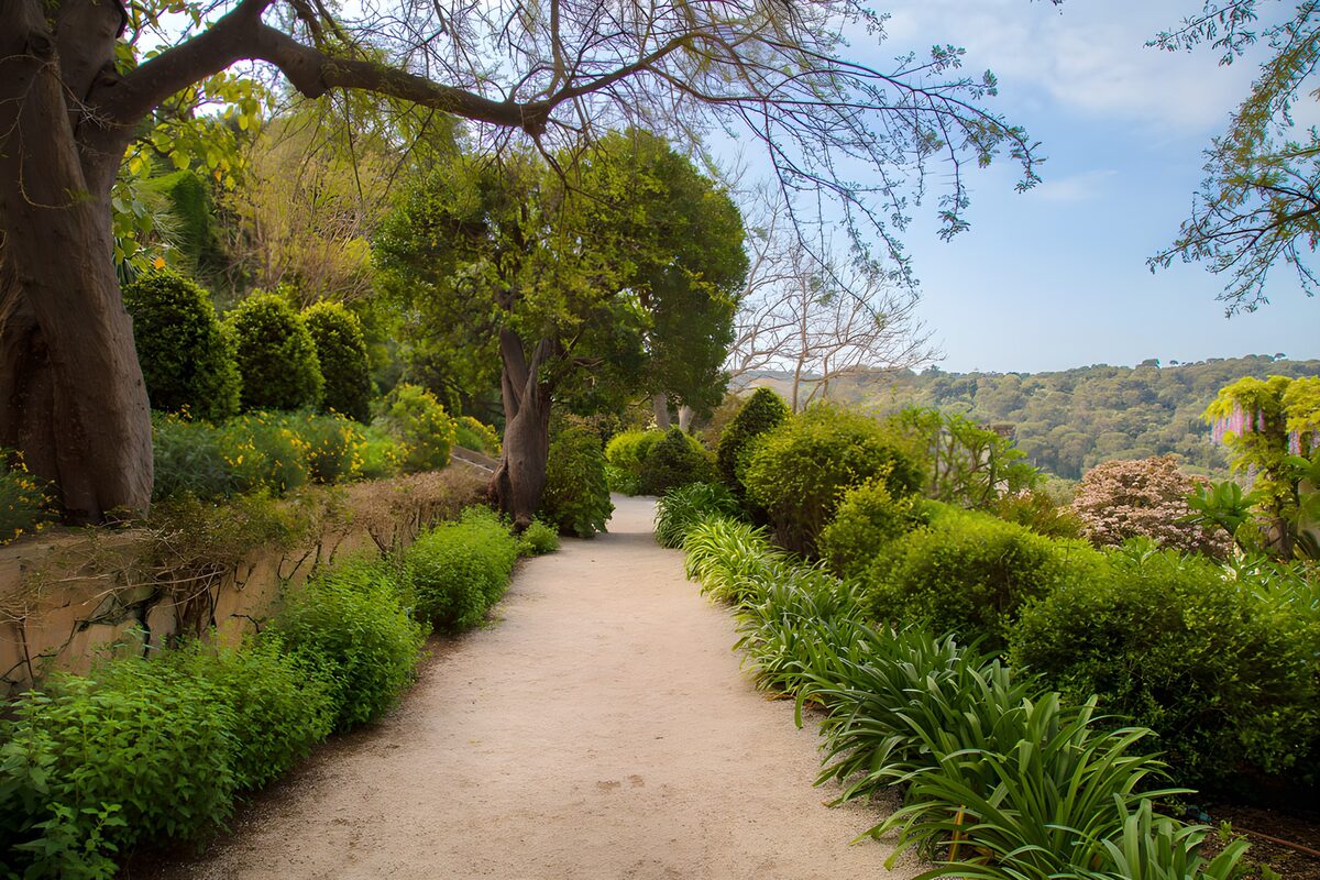 TPFR23634: Sentier paisible dans un jardin verdoyant