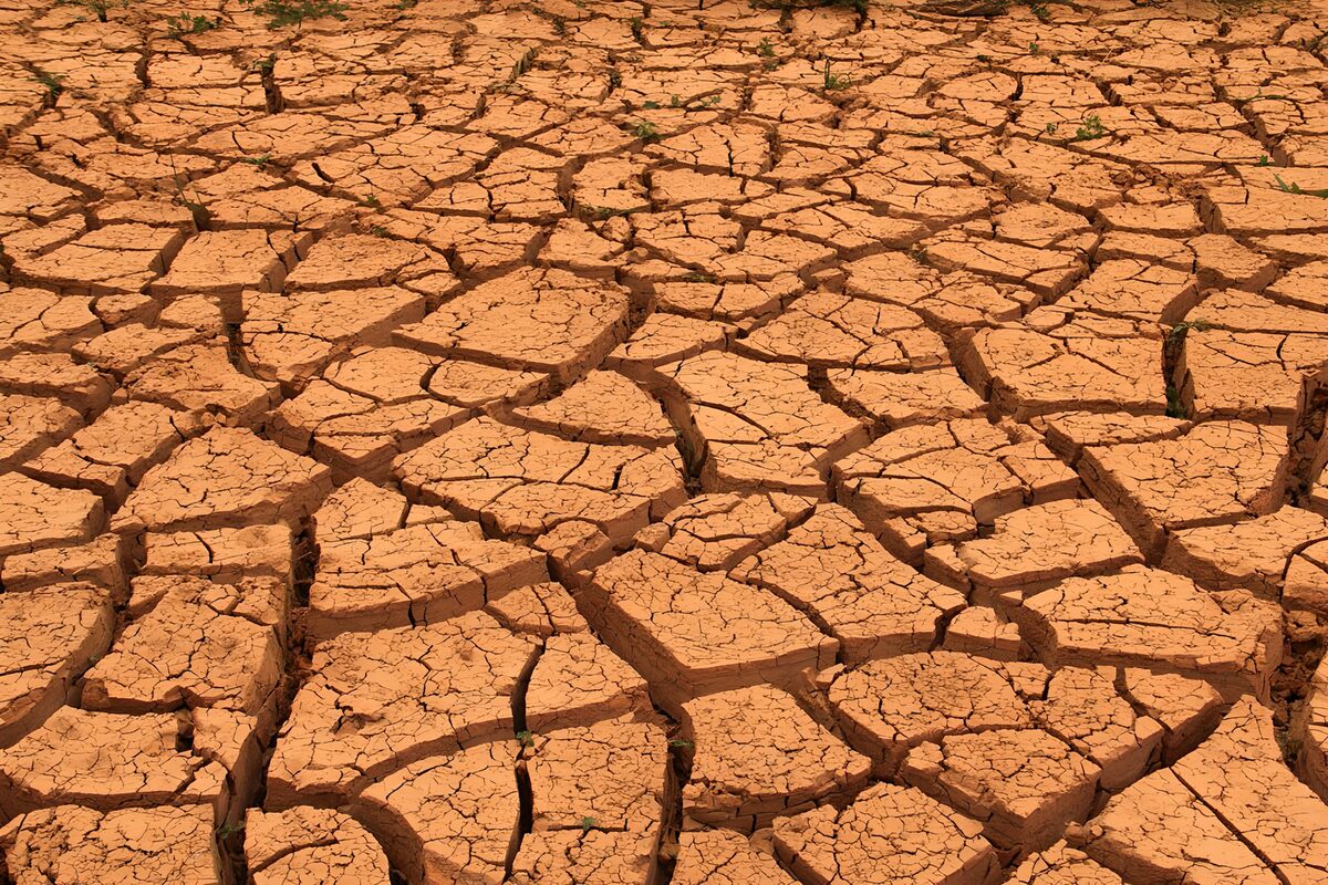 Terre craquelée sous la chaleur