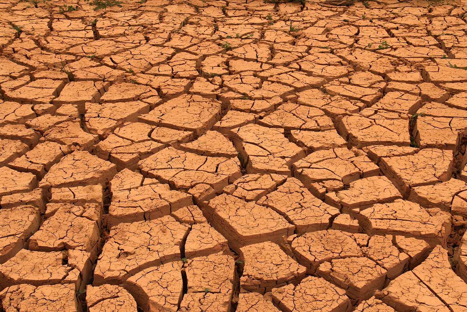 TPFR80618: Terre craquelée sous la chaleur