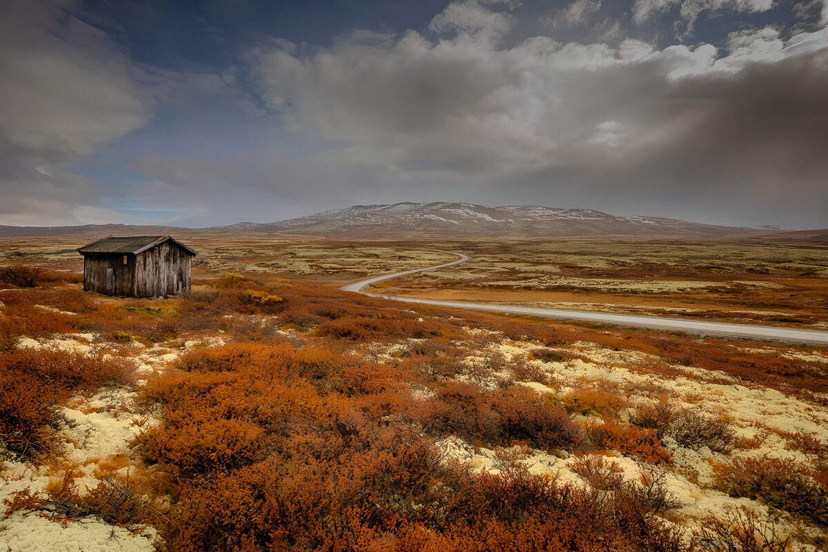 TPFR86503: Refuge isolé dans la nature