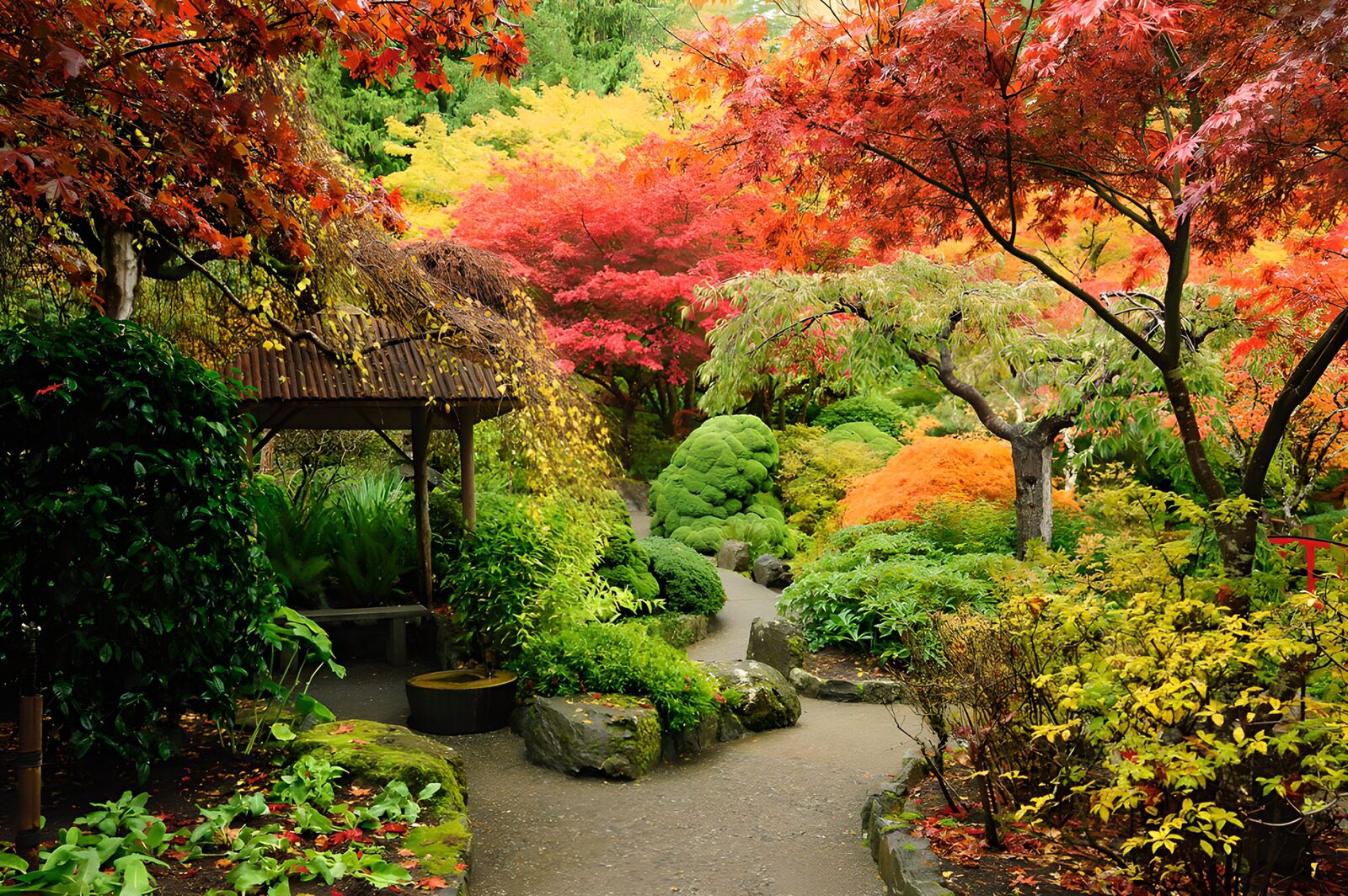TPFR81213: Jardin coloré en automne