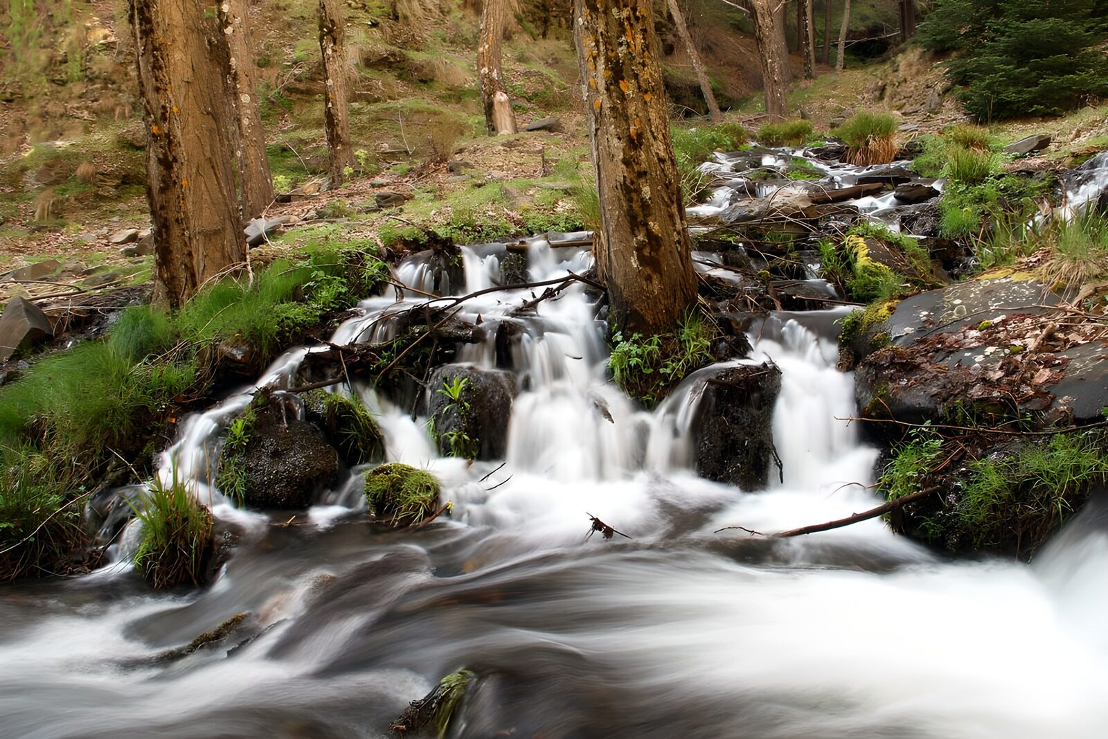 TPFR86889: Douces cascades en forêt