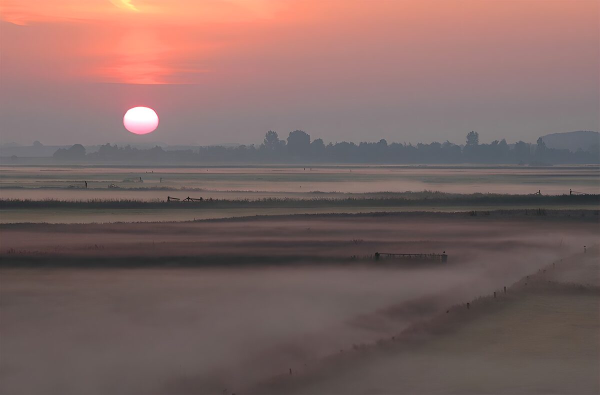 Lever de soleil sur les champs brumeux