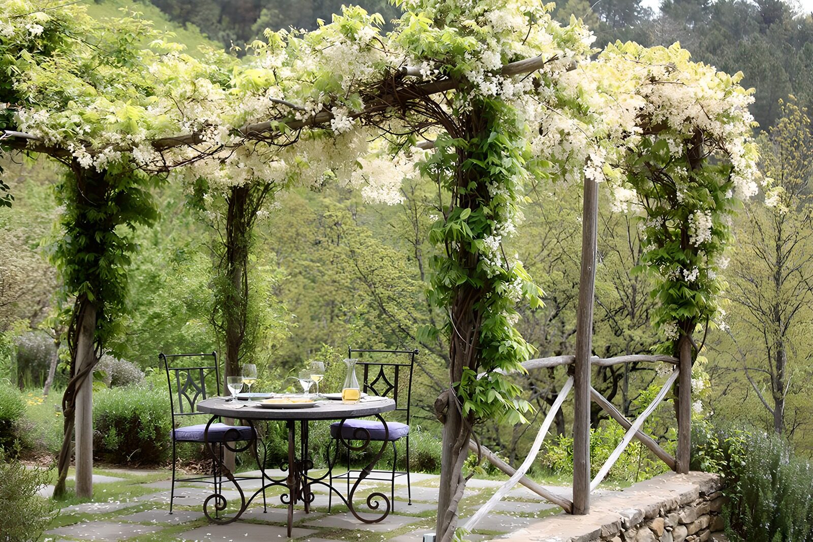 TPFR22745: Un jardin paisible avec une pergola fleurie