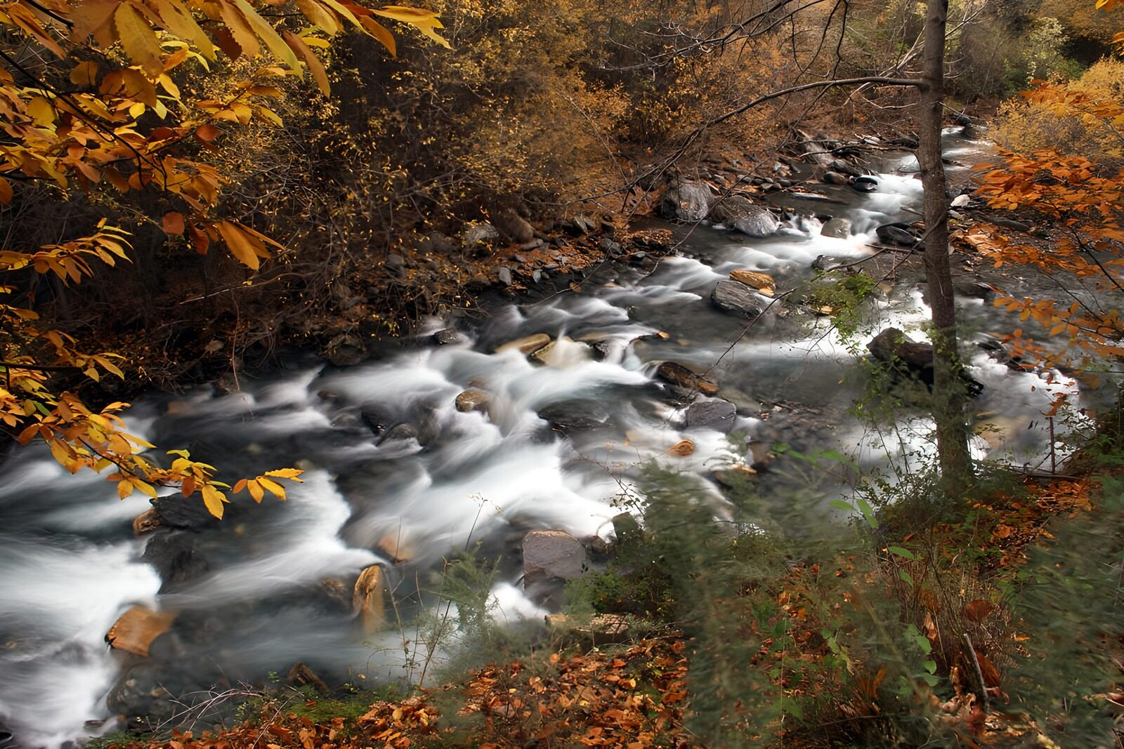 TPFR15417: Ruisseau paisible en automne