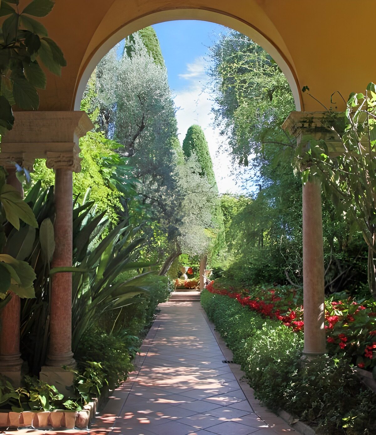 TPFR62007: Jardin sous l'arcade ensoleillée