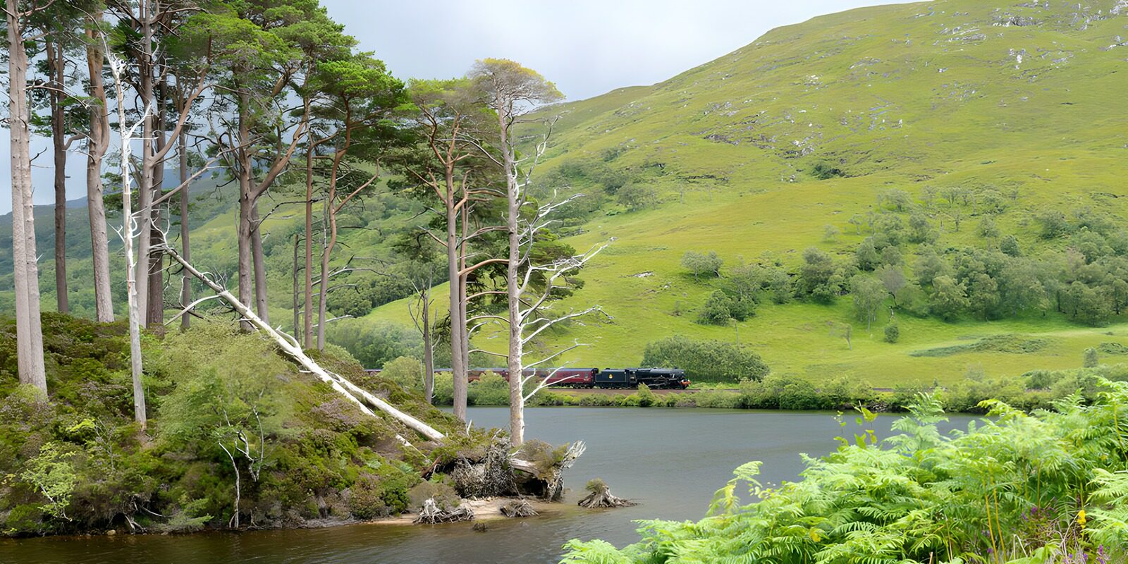 TPFR33325: Train paisible entre les collines verdoyantes