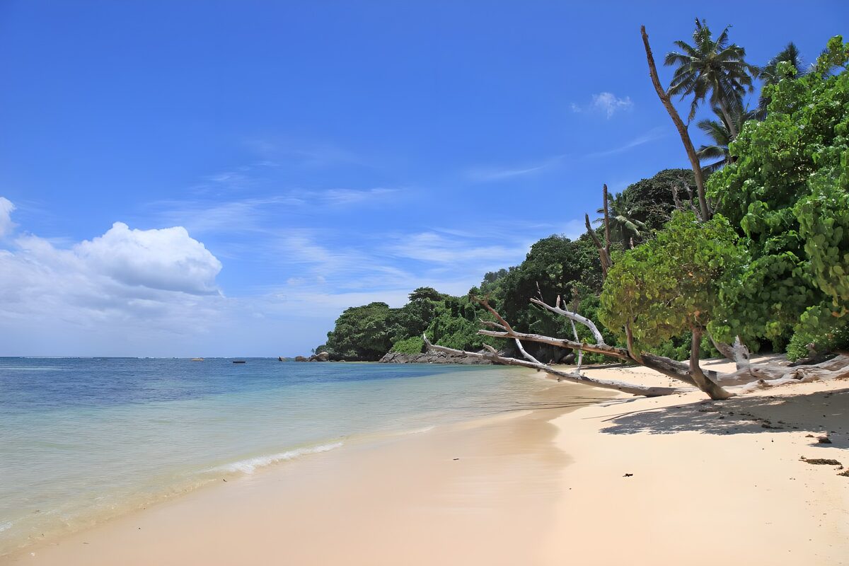 TPFR61070: Plage paisible sous un ciel bleu