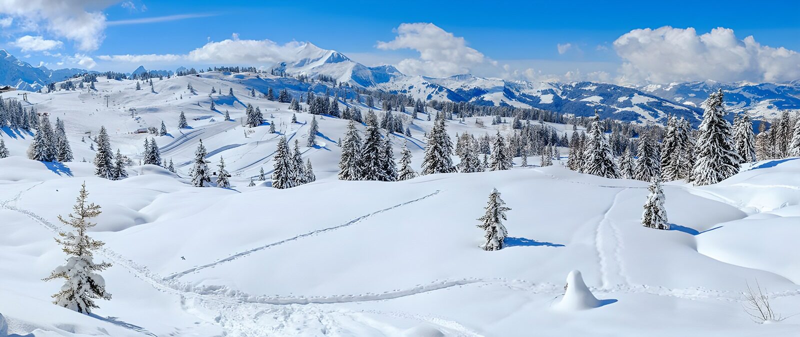 TPFR42180: Paysage hivernal lumineux