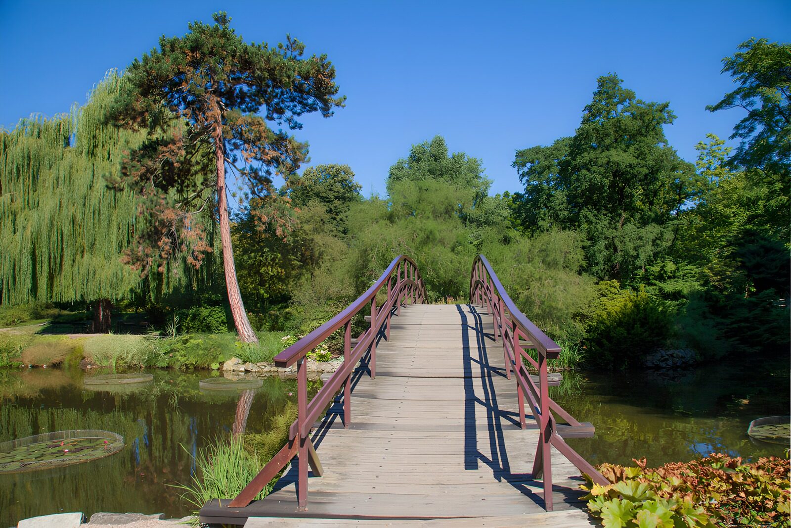 TPFR19449: Pont en bois dans un jardin paisible