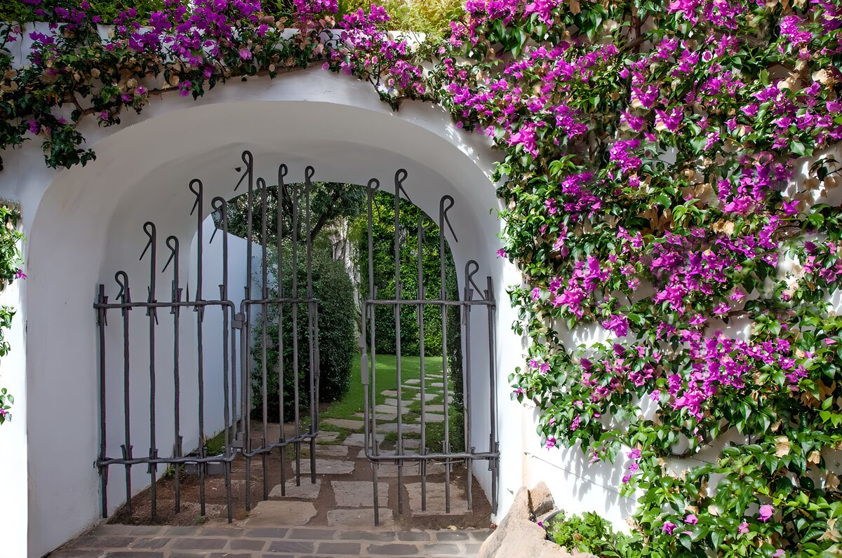 TPFR89056: Portail fleuri vers le jardin secret