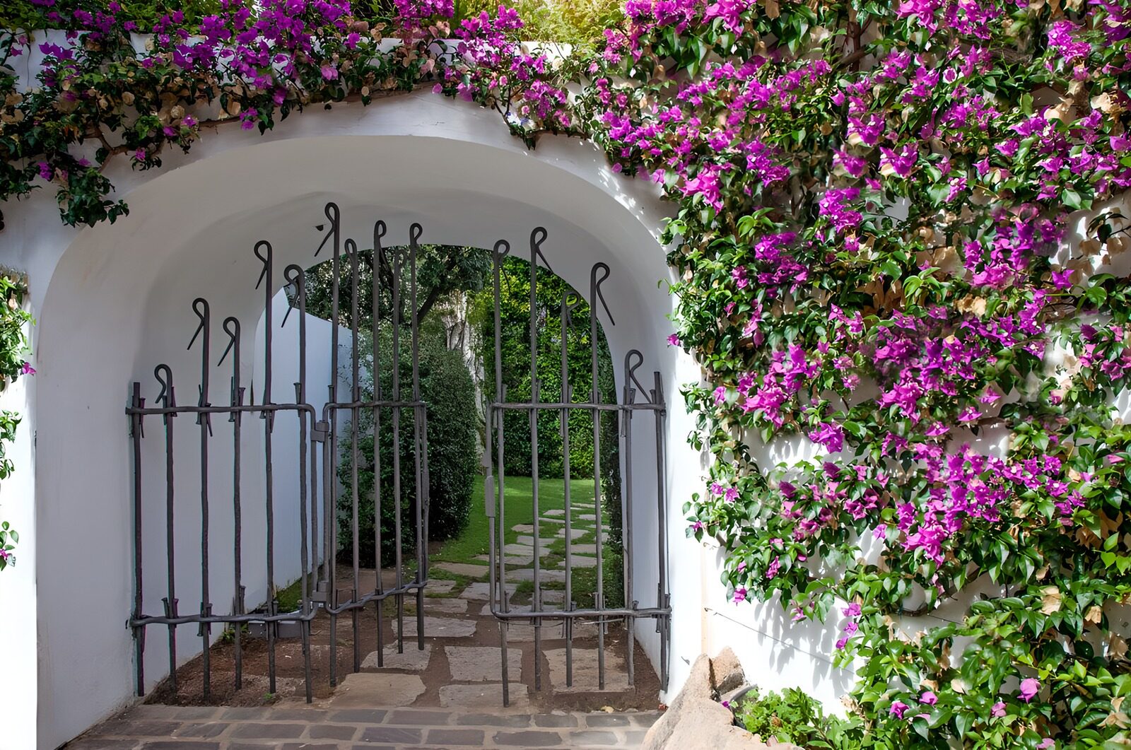 TPFR89056: Portail fleuri vers le jardin secret