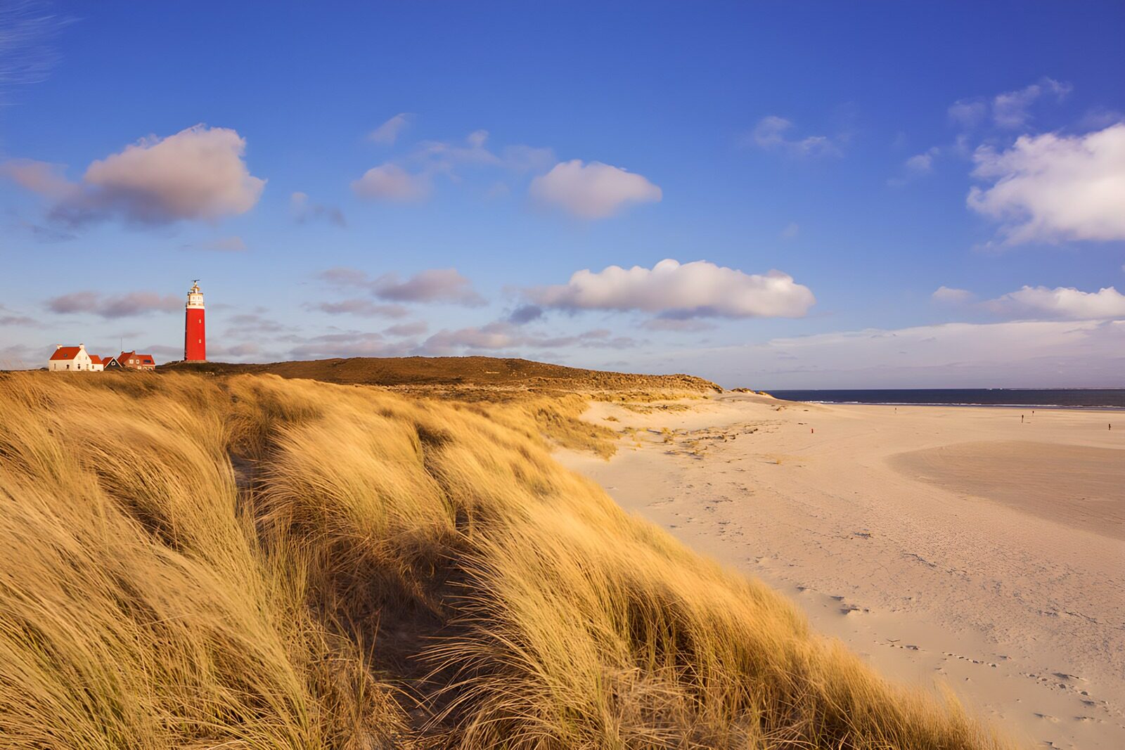 TPFR91875: Phare rouge sur la plage dorée