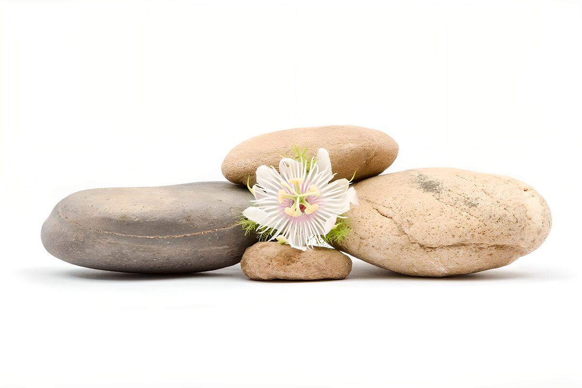 TPFR48388: Équilibre de pierres et fleur