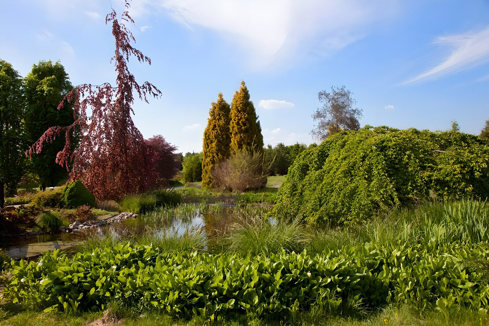 TPFR46104: Jardin paisible au bord de l'eau