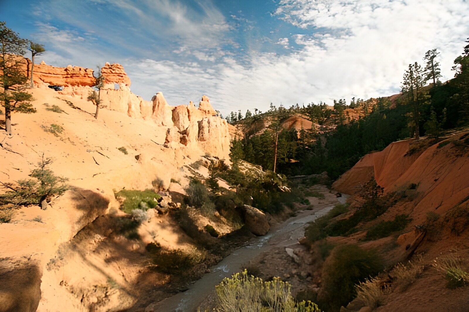 TPFR69863: Rivière serpentant dans un canyon