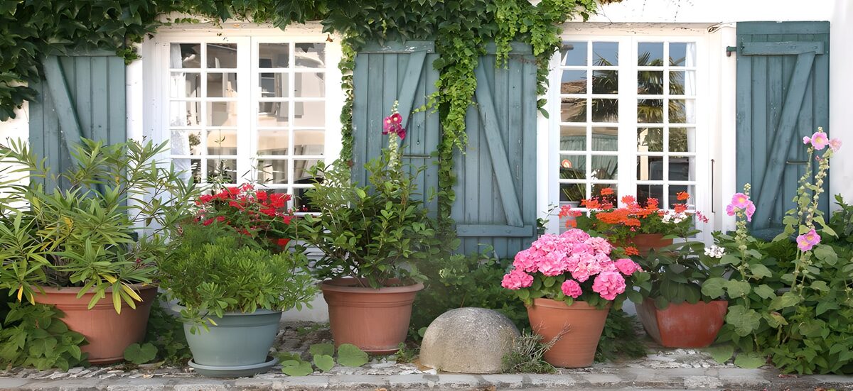 Fleurs colorées devant une maison charmante