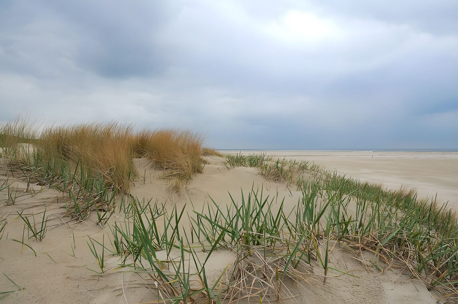 TPFR71290: : Plage de sable sous des nuages gris