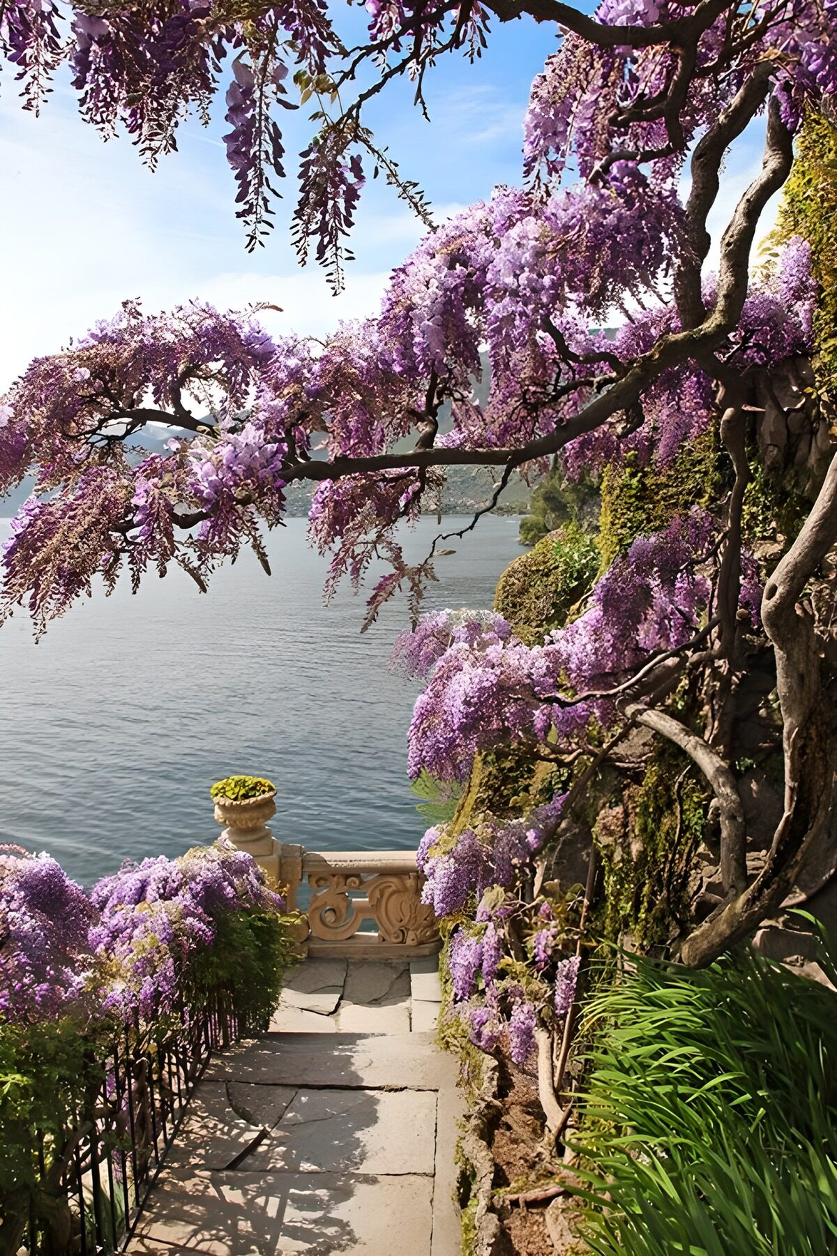 TPFR99193: Charme floral au bord de l'eau