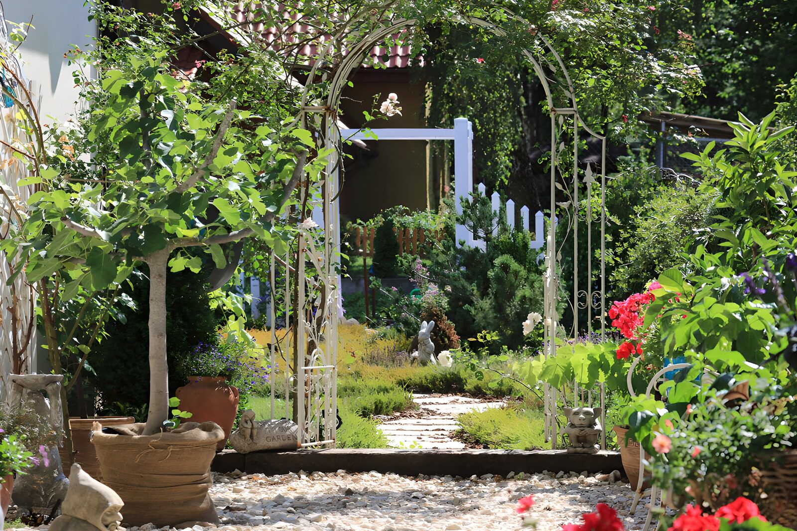 TPFR23053: Jardin enchanteur sous le soleil