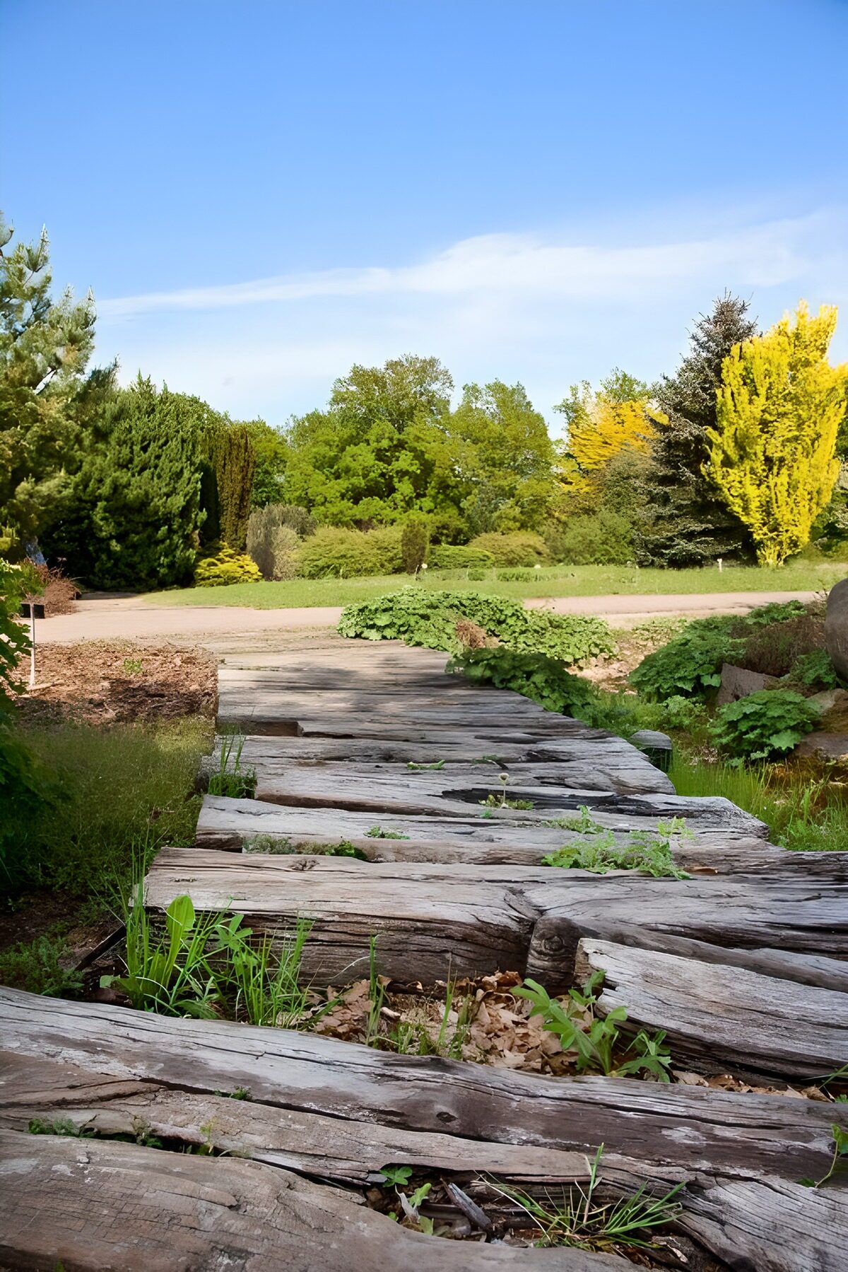 TPFR94846: Sentier en bois au jardin