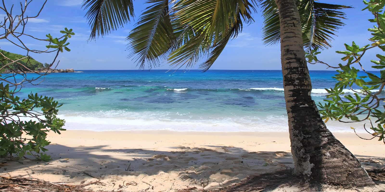 TPFR88175: Plage paradisiaque sous les palmiers
