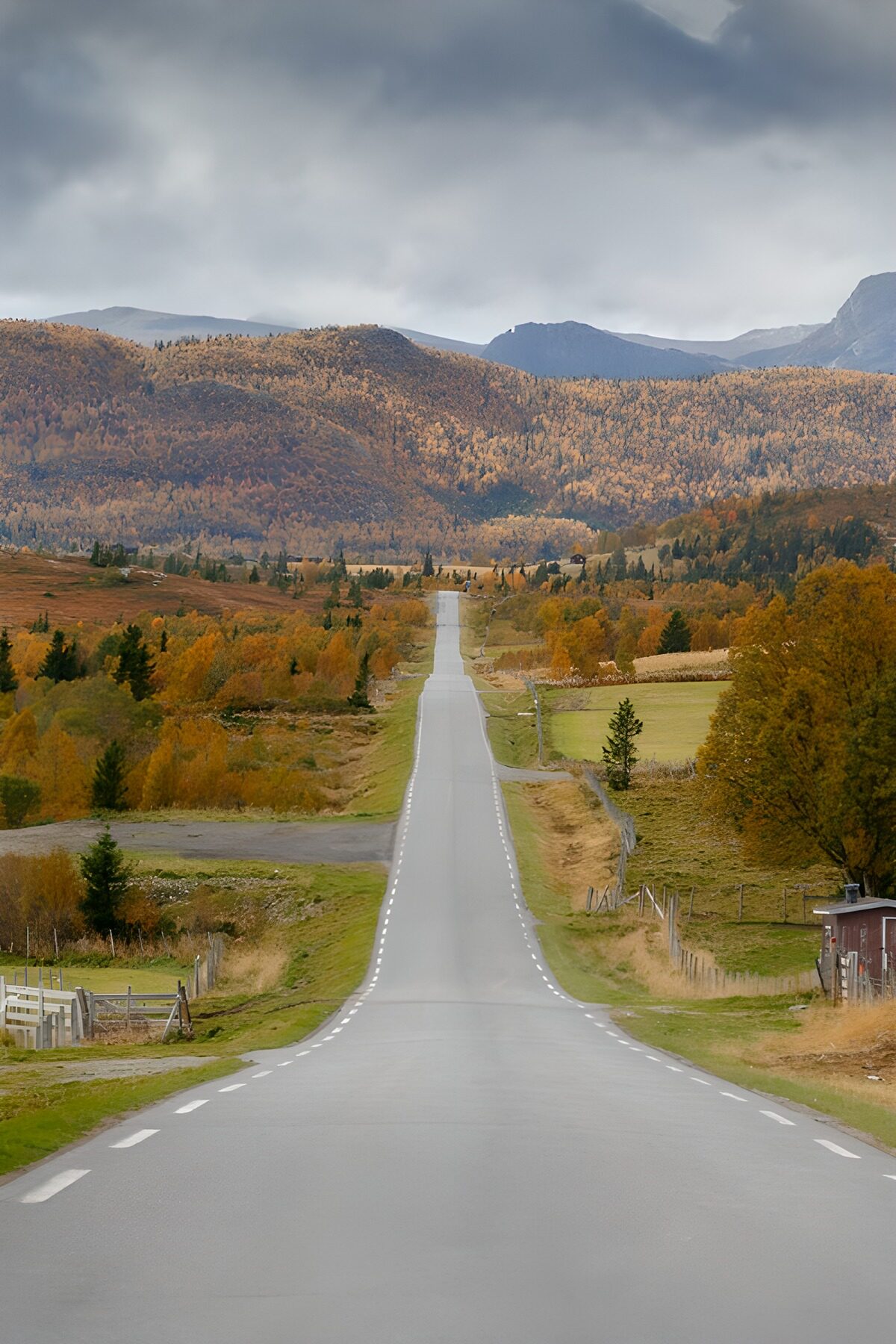 TPFR66648: Route tranquille au cœur de l'automne