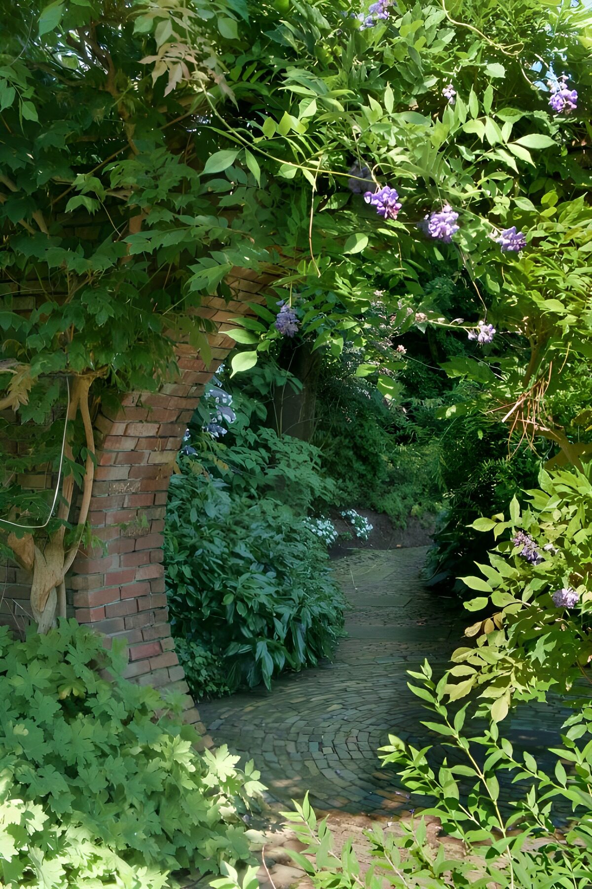 TPFR49888: Jardin secret sous l'arche fleurie