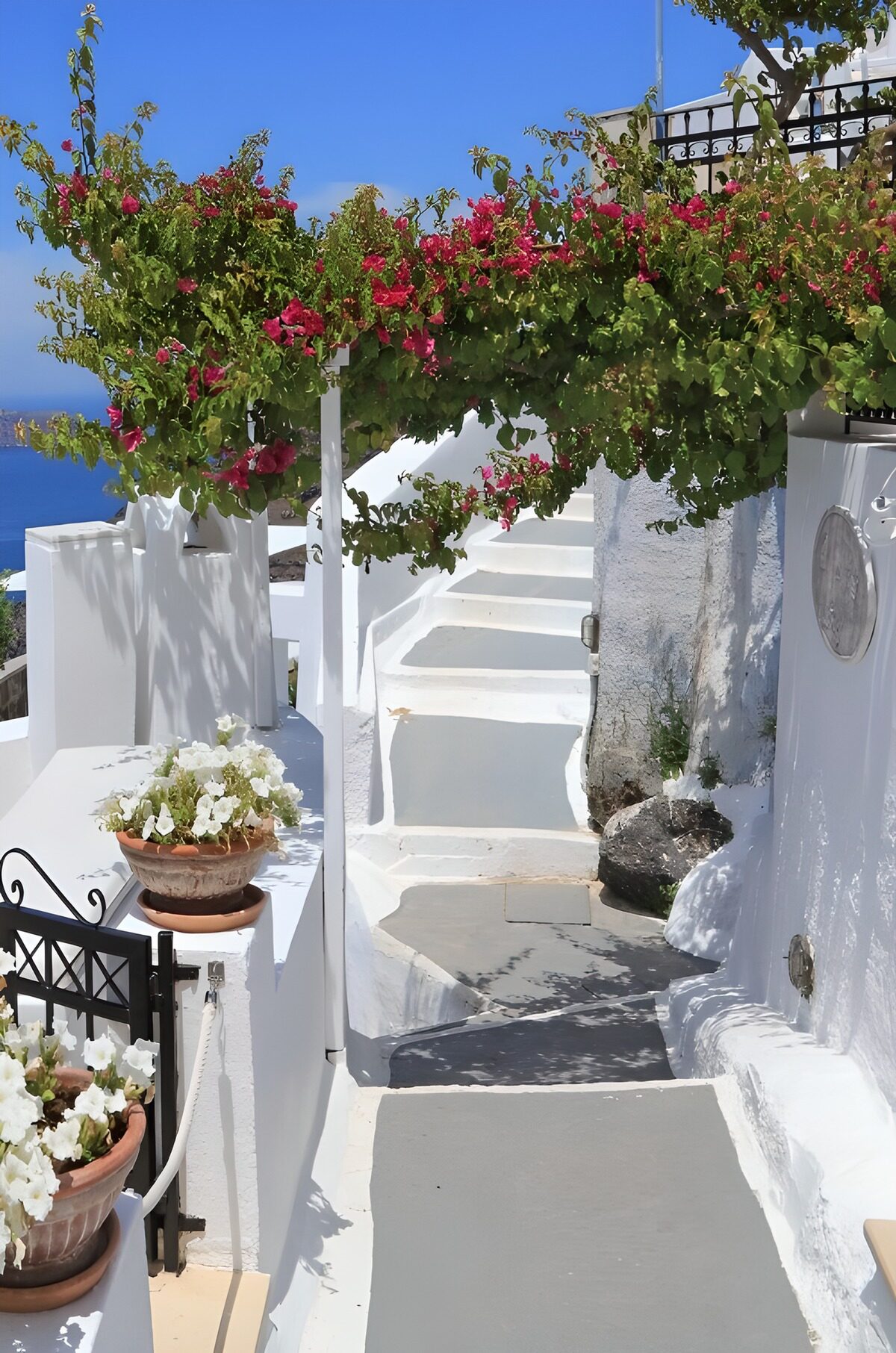 TPFR22812: Sentier fleuri vers la mer