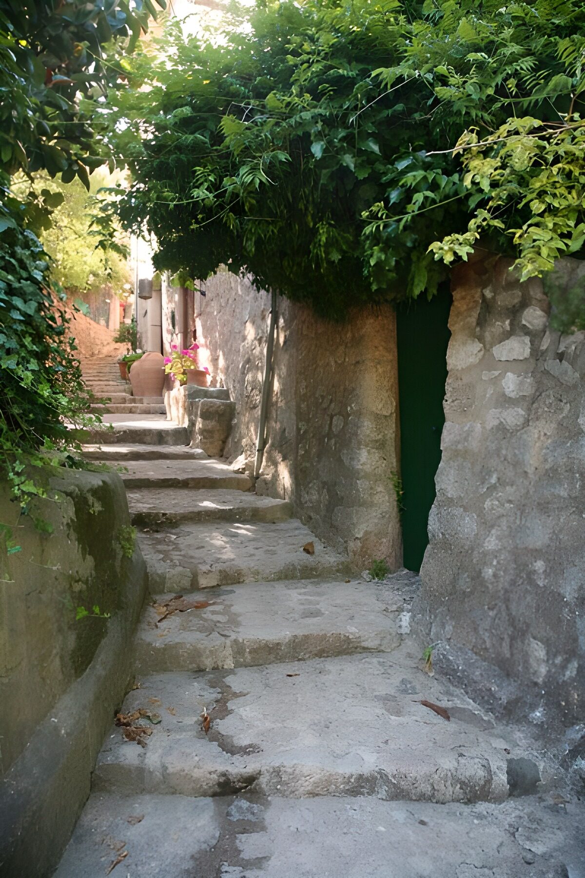 Escalier pavé le long d'un mur envahi de plantes grimpantes 2