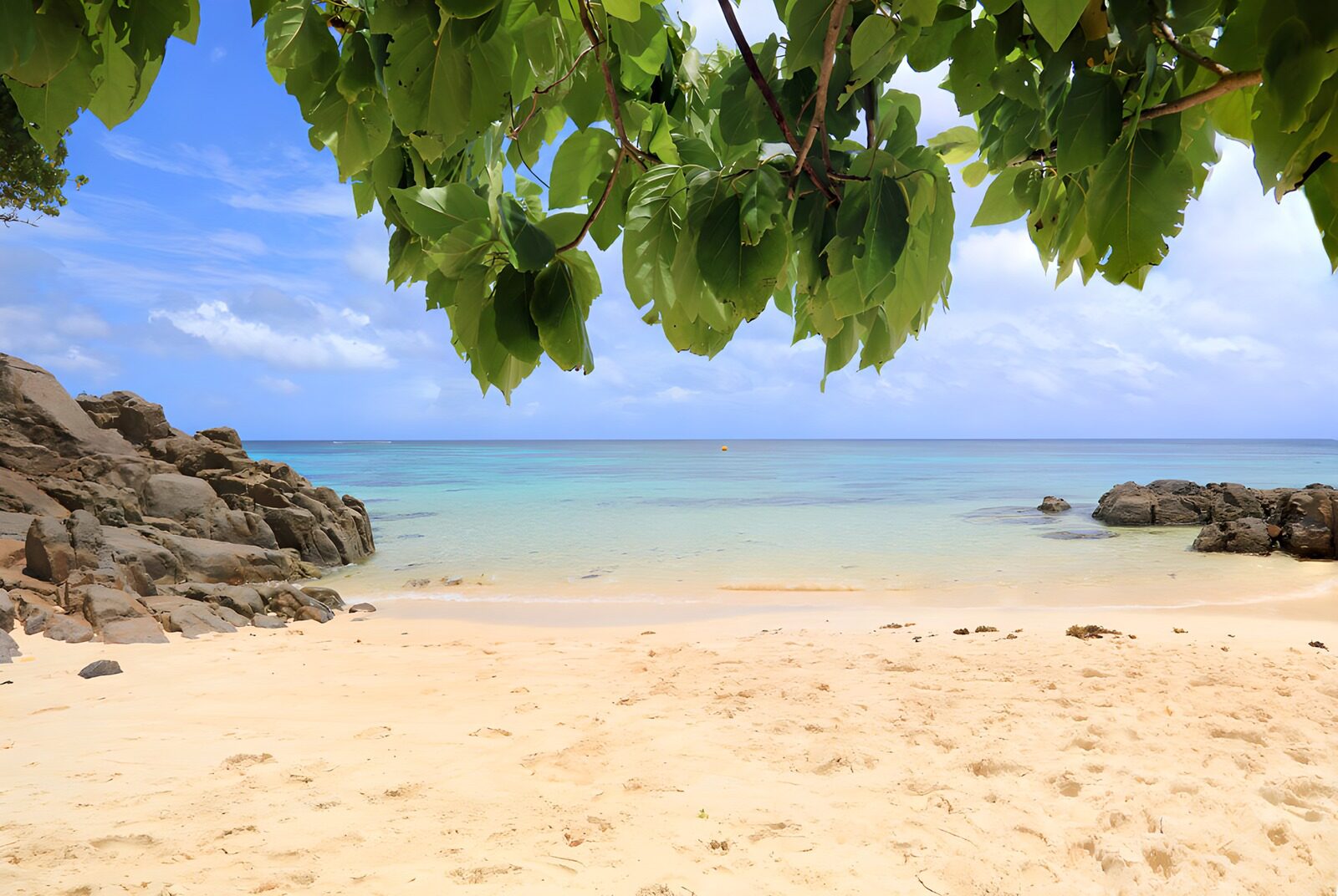 TPFR63282: Plage tranquille sous les feuilles verdoyantes