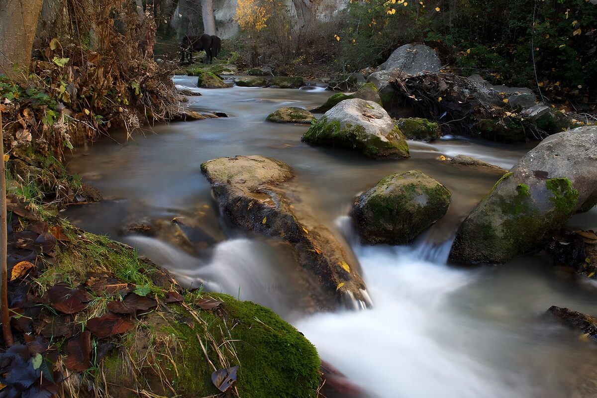 Ruisseau paisible à travers les rochers