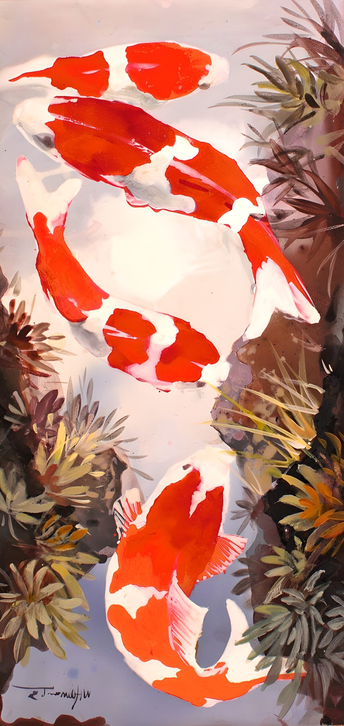TPFR26800: Poissons koi dans un jardin aquatique