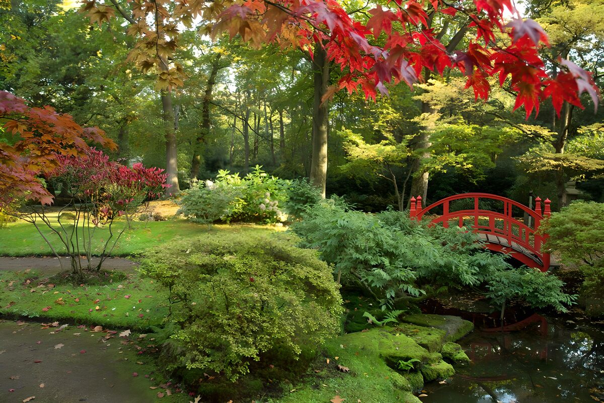Un jardin paisible avec un pont rouge