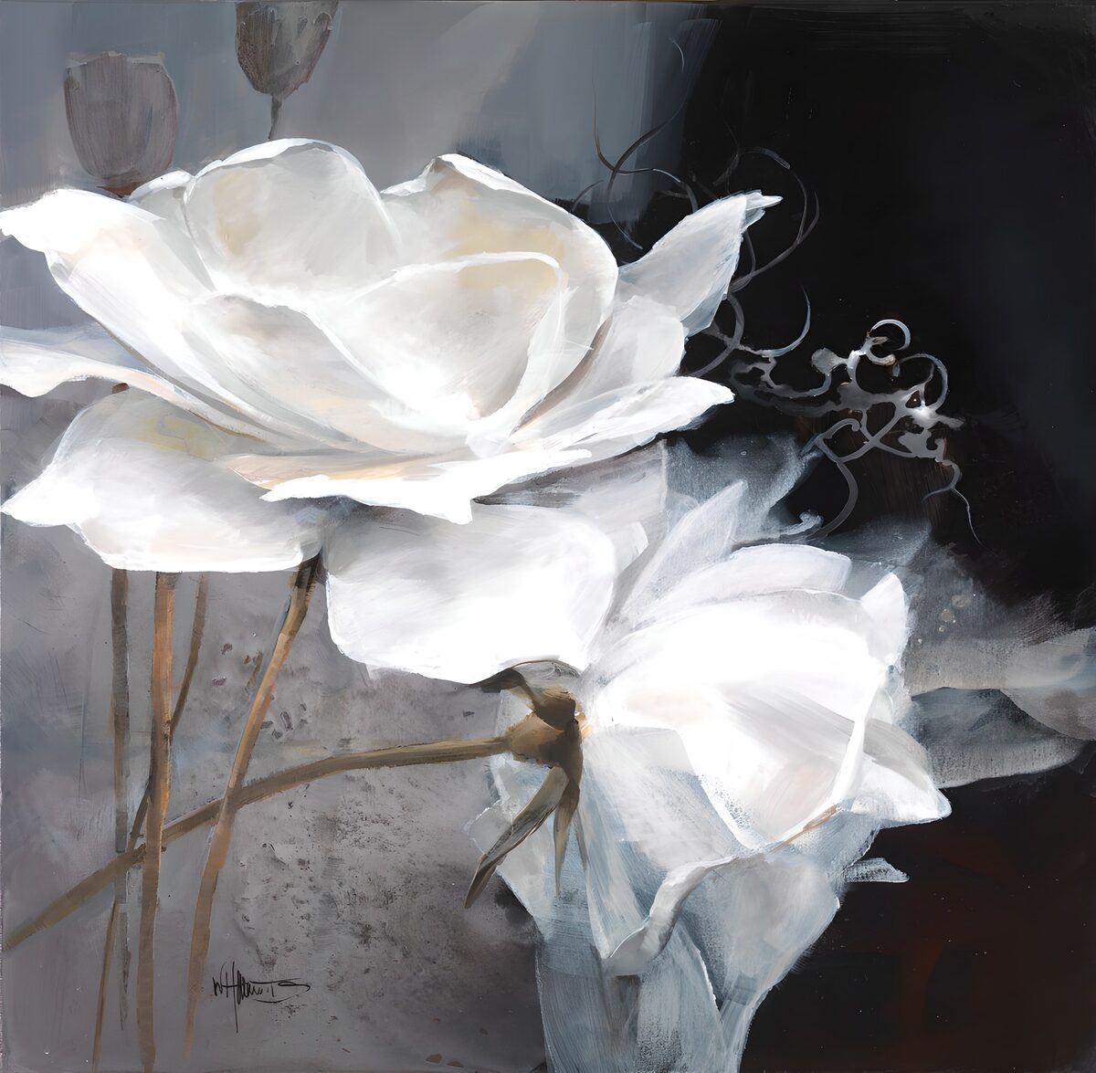 TPFR64612: Fleurs blanches au clair-obscur