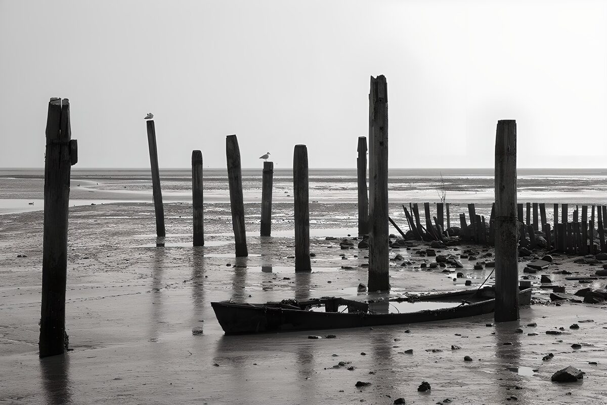 TPFR56827: Aurore sur la mer calme