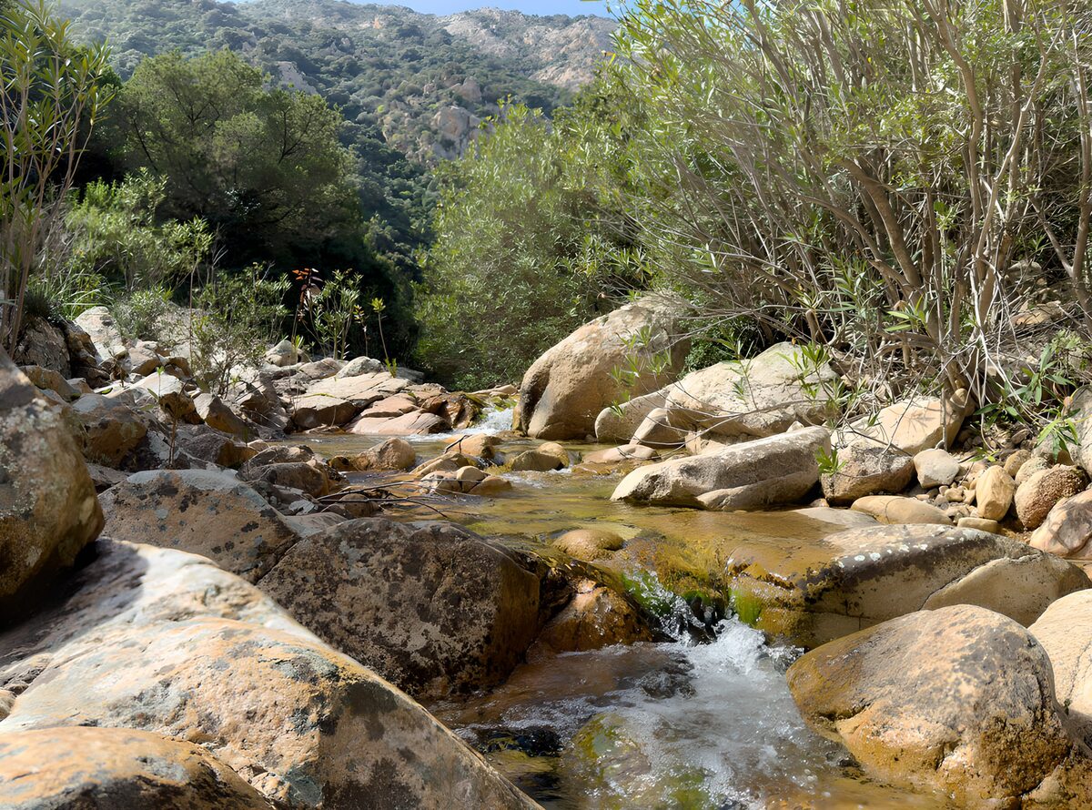 Ruisseau paisible en montagne